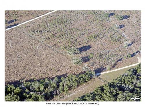 SHLMB Aerial 010416 No 42