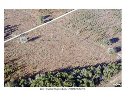 SHLMB Aerial 010416 No 43