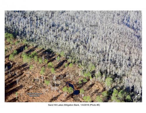 SHLMB Aerial 010416 No 5