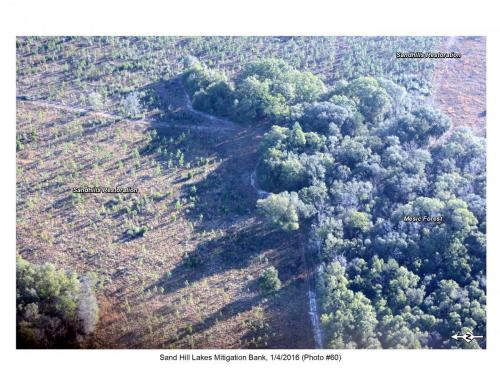 SHLMB Aerial 010416 No 60