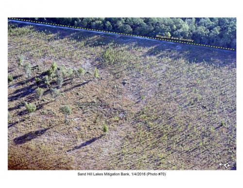 SHLMB Aerial 010416 No 70