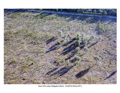 SHLMB Aerial 010416 No 71