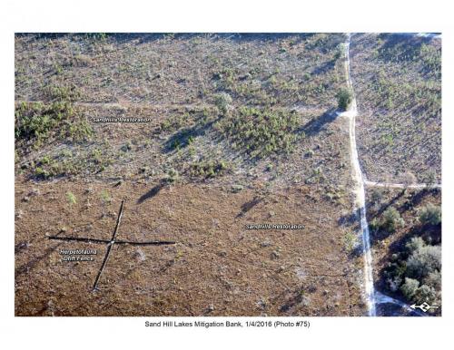 SHLMB Aerial 010416 No 75