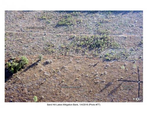 SHLMB Aerial 010416 No 77