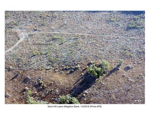 SHLMB Aerial 010416 No 78