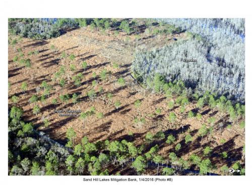 SHLMB Aerial 010416 No 8