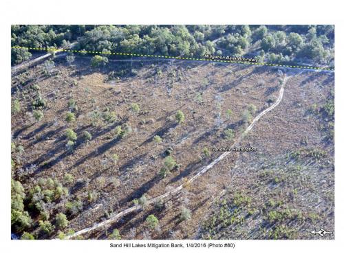 SHLMB Aerial 010416 No 80