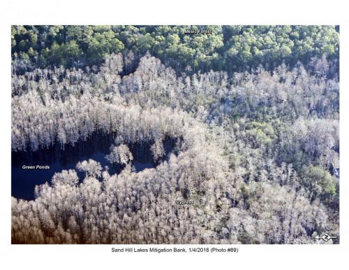 SHLMB Aerial 010416 No 89