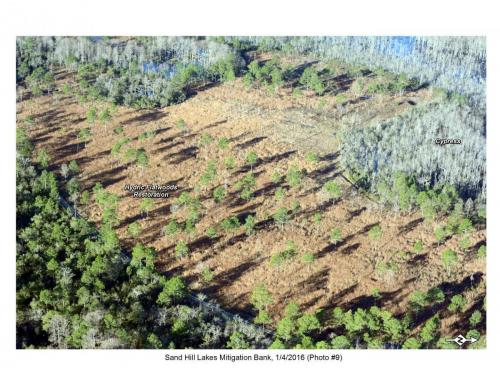 SHLMB Aerial 010416 No 9