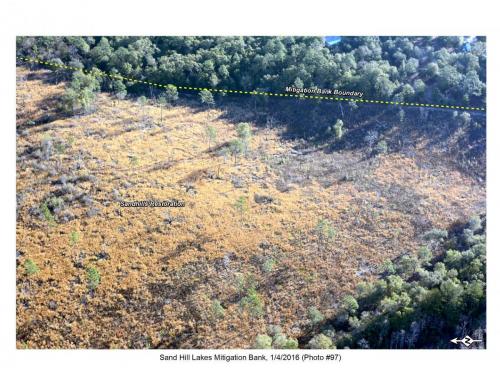 SHLMB Aerial 010416 No 97