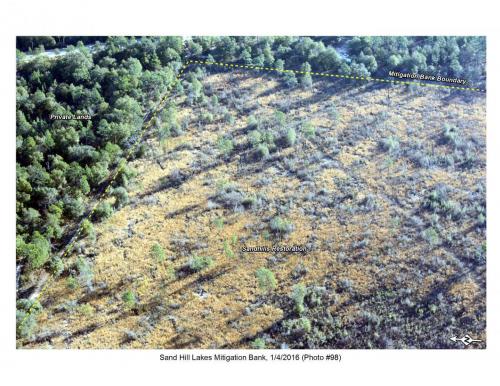 SHLMB Aerial 010416 No 98