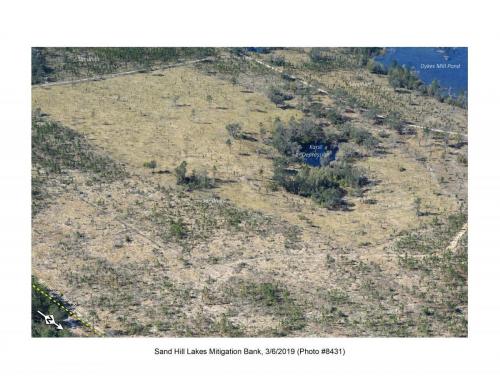 SHLMB Aerial 030619 No 8431a
