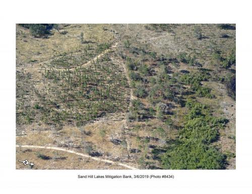 SHLMB Aerial 030619 No 8434a