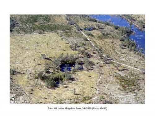 SHLMB Aerial 030619 No 8436a
