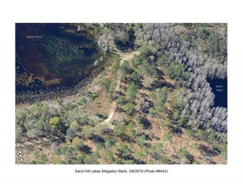 SHLMB Aerial 030619 No 8442a