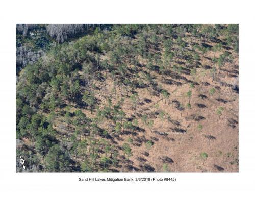 SHLMB Aerial 030619 No 8445a