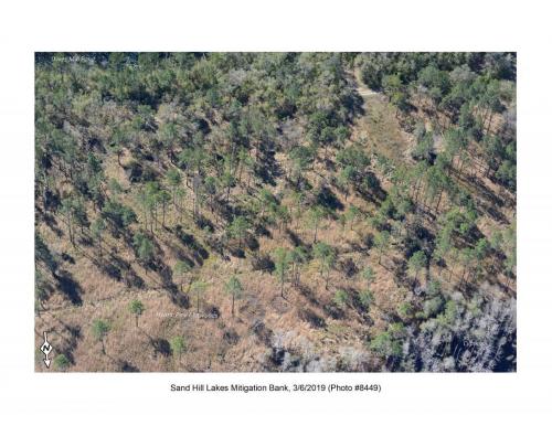 SHLMB Aerial 030619 No 8449a
