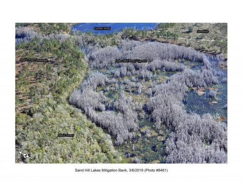 SHLMB Aerial 030619 No 8461a