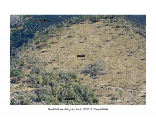 SHLMB Aerial 030619 No 8466