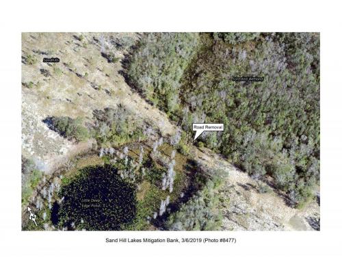 SHLMB Aerial 030619 No 8477
