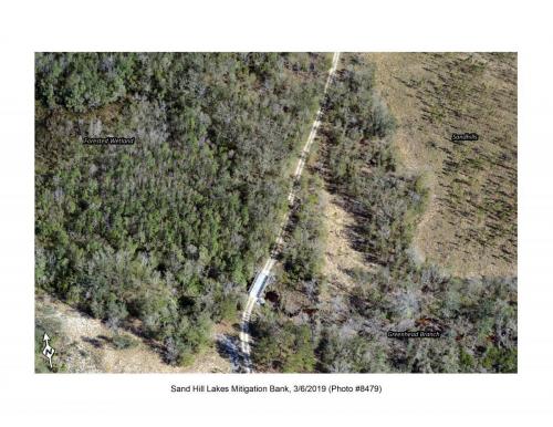 SHLMB Aerial 030619 No 8479