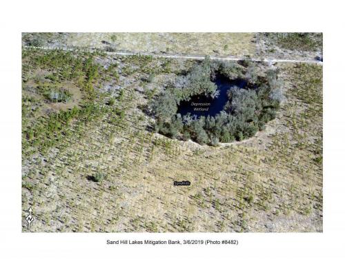SHLMB Aerial 030619 No 8482