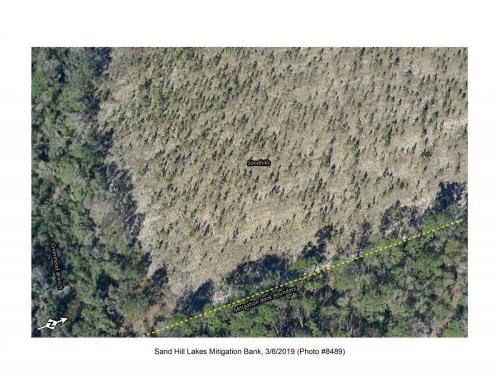 SHLMB Aerial 030619 No 8489