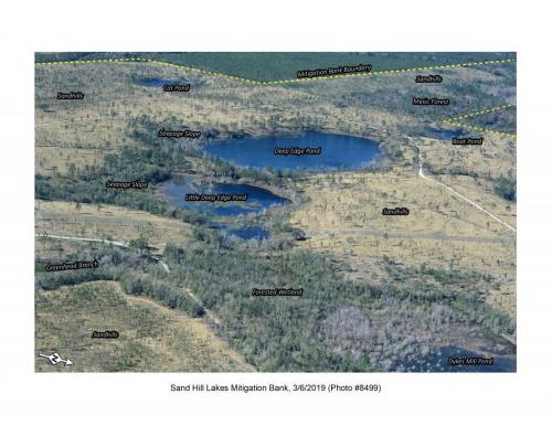 SHLMB Aerial 030619 No 8499