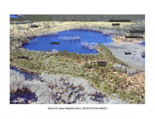 SHLMB Aerial 030619 No 8503