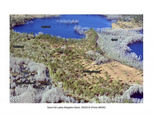 SHLMB Aerial 030619 No 8509