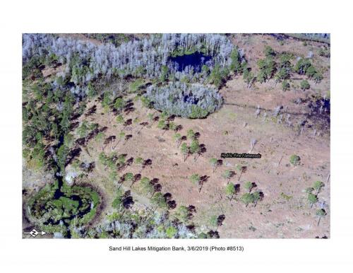 SHLMB Aerial 030619 No 8513