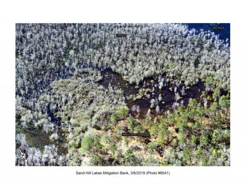 SHLMB Aerial 030619 No 8541