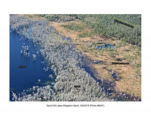 SHLMB Aerial 030619 No 8547