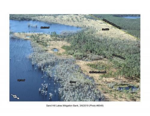 SHLMB Aerial 030619 No 8549