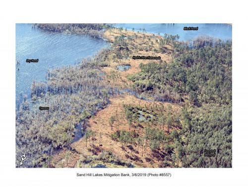 SHLMB Aerial 030619 No 8557