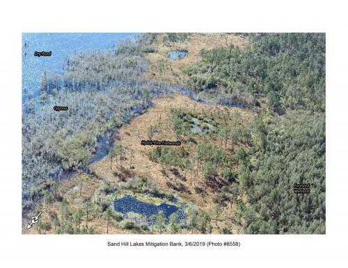 SHLMB Aerial 030619 No 8558