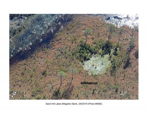 SHLMB Aerial 030619 No 8560