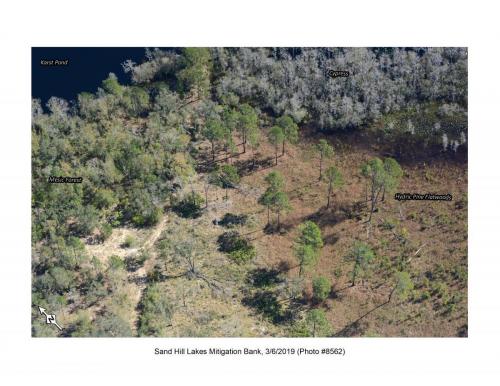 SHLMB Aerial 030619 No 8562