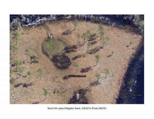 SHLMB Aerial 030619 No 8576