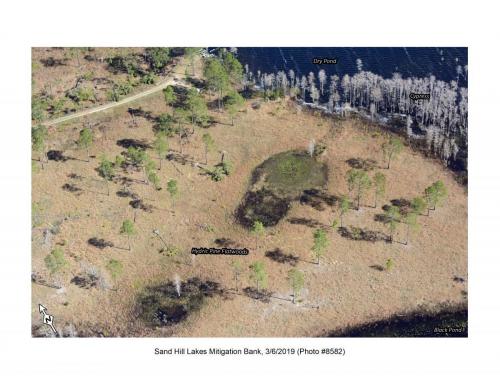 SHLMB Aerial 030619 No 8582