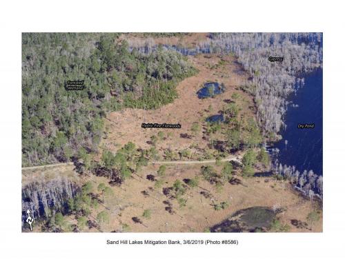 SHLMB Aerial 030619 No 8586