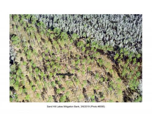 SHLMB Aerial 030619 No 8595