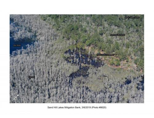 SHLMB Aerial 030619 No 8620