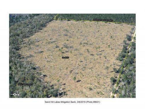 SHLMB Aerial 030619 No 8631