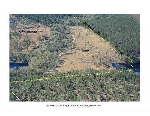 SHLMB Aerial 030619 No 8647