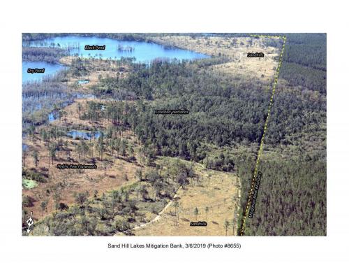 SHLMB Aerial 030619 No 8655