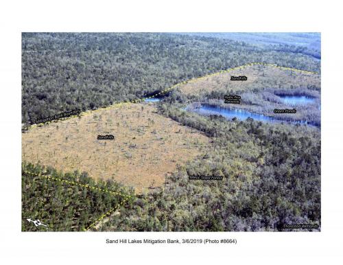 SHLMB Aerial 030619 No 8664