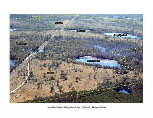 SHLMB Aerial 030619 No 8680
