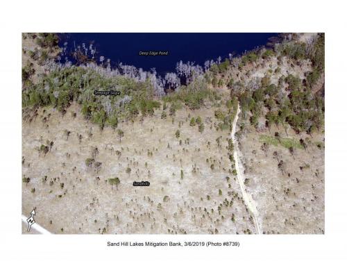SHLMB Aerial 030619 No 8739