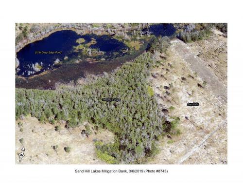SHLMB Aerial 030619 No 8743